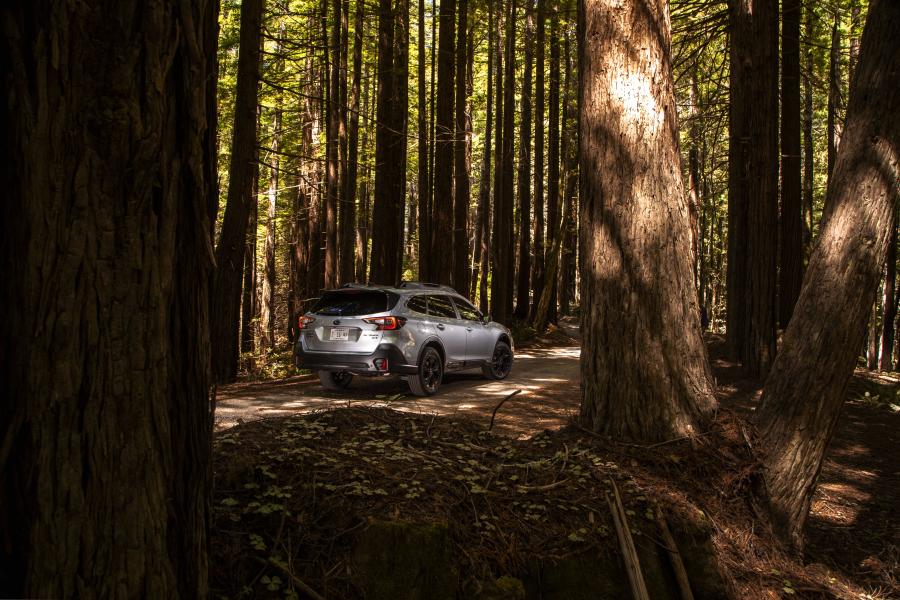  Subaru Outback Onyx Edition XT 2019 года  (NA) (фото 32 из 40)